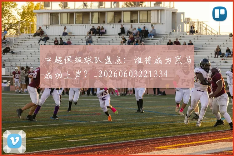 中超保级球队盘点：谁将成为黑马成功上岸？_20260603221334